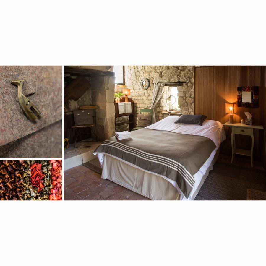 Bed and Breakfast La Grande Maison D'Arthenay Сомюр Экстерьер фото